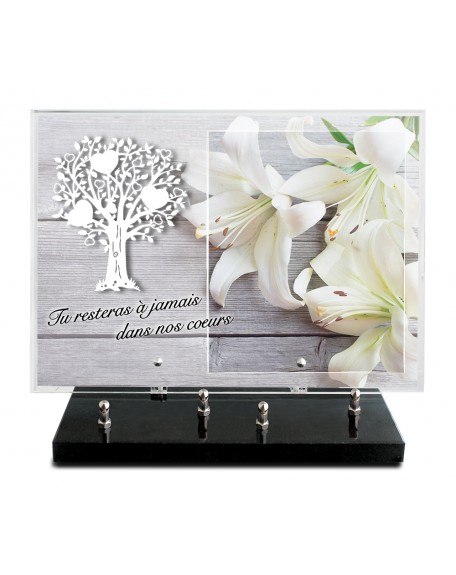 PLAQUE IMPRIMEE 25X35 + MOTIF INOX BLANC ARBRE