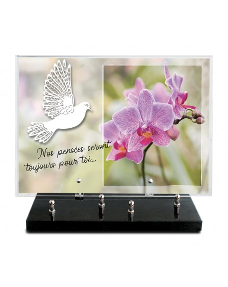 PLAQUE IMPRIMEE 25X35 + MOTIF INOX BLANC COLOMBE