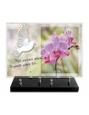 PLAQUE IMPRIMEE 25X35 + MOTIF INOX BLANC COLOMBE