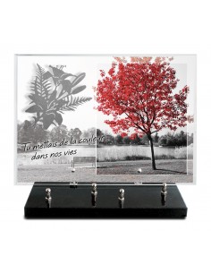 PLAQUE IMPRIMEE 25X35 +...