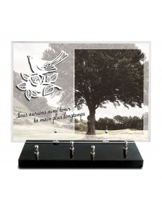 PLAQUE IMPRIMEE 25X35 +...