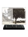 PLAQUE IMPRIMEE 25X35 + MOTIF INOX BLANC OISEAU