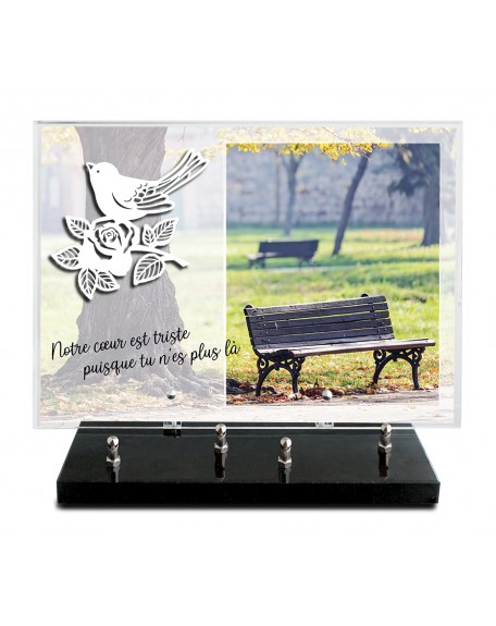 PLAQUE IMPRIMEE 25X35 + MOTIF INOX BLANC OISEAU