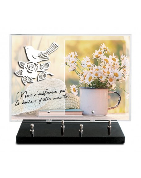 PLAQUE IMPRIMEE 25X35 + MOTIF INOX BLANC OISEAU