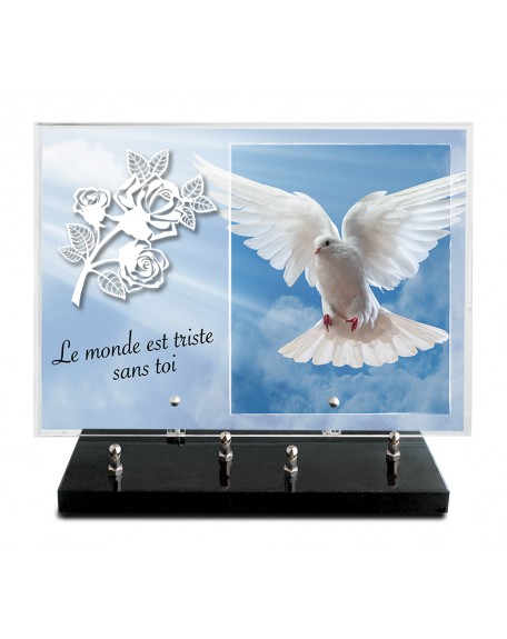 PLAQUE IMPRIMEE 25X35 + MOTIF INOX BLANC ROSE