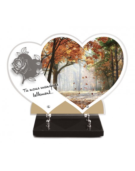 PLAQUE ALTU IMPRIMEE DOUBLE COEUR 27X40 + MOTIF INOX COEUR