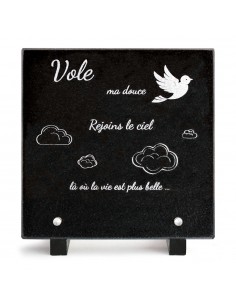 PLAQUE GRANIT 20X20 TEXTE