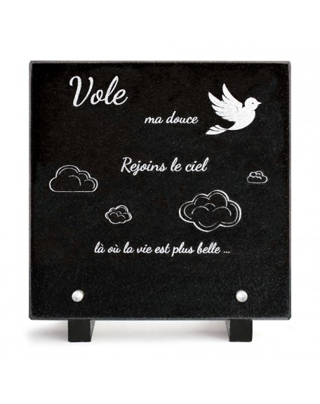 PLAQUE GRANIT 20X20 TEXTE