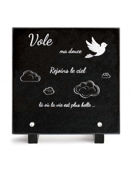 PLAQUE GRANIT 20X20 TEXTE
