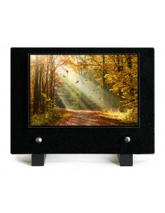 PLAQUE IMPRIMEE 15X21...