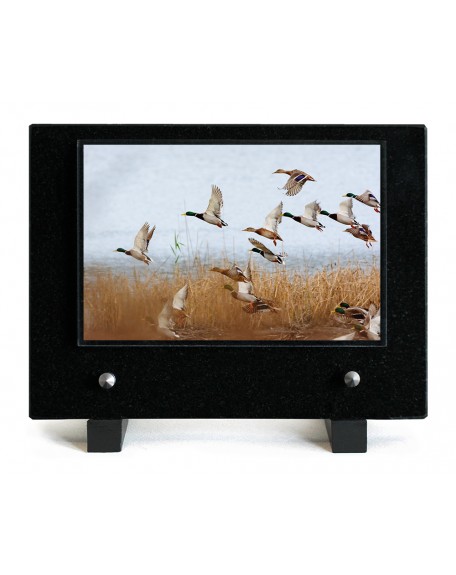 PLAQUE IMPRIMEE 15X21 CHASSE/PECHE