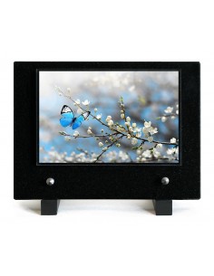 PLAQUE IMPRIMEE 15X21...