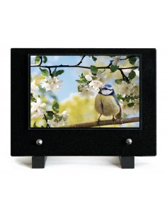 PLAQUE IMPRIMEE 15X21...