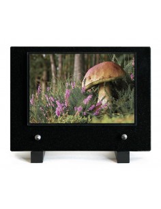 PLAQUE IMPRIMEE 15X21...