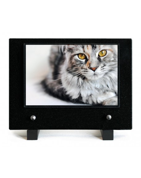 PLAQUE IMPRIMEE 15X21 ANIMAUX