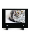 PLAQUE IMPRIMEE 15X21 ANIMAUX