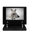 PLAQUE IMPRIMEE S/SOCLE 15X21 ANIMAUX