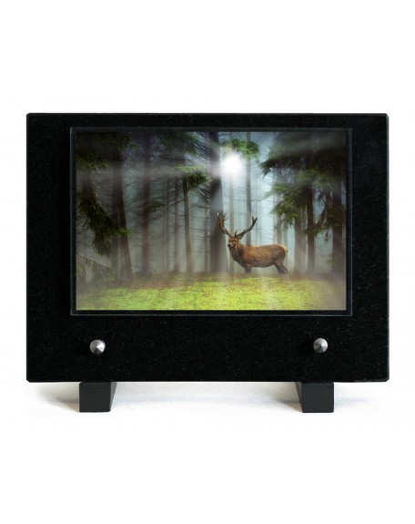 PLAQUE IMPRIMEE 15X21 CHASSE/PECHE