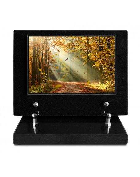 PLAQUE IMPRIMEE S/SOCLE 15X21 PAYSAGE/NATURE