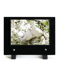 PLAQUE IMPRIMEE 15X21...