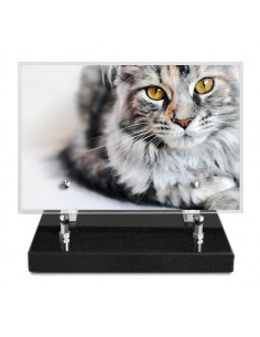 PLAQUE IMPRIMEE 15X22,5...