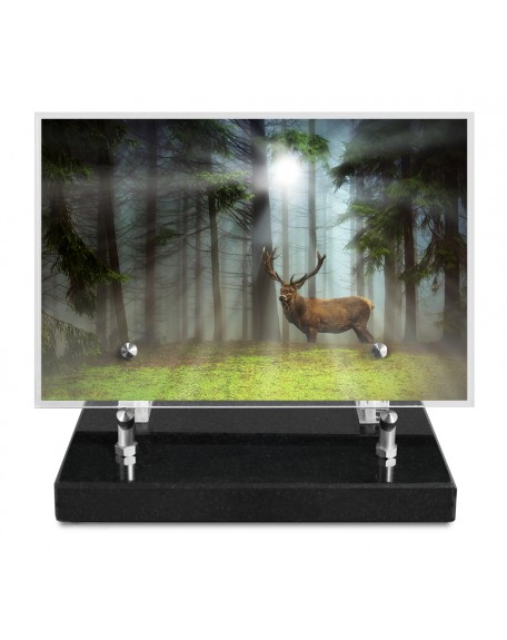 PLAQUE IMPRIMEE 15X22,5 CHASSE/PECHE