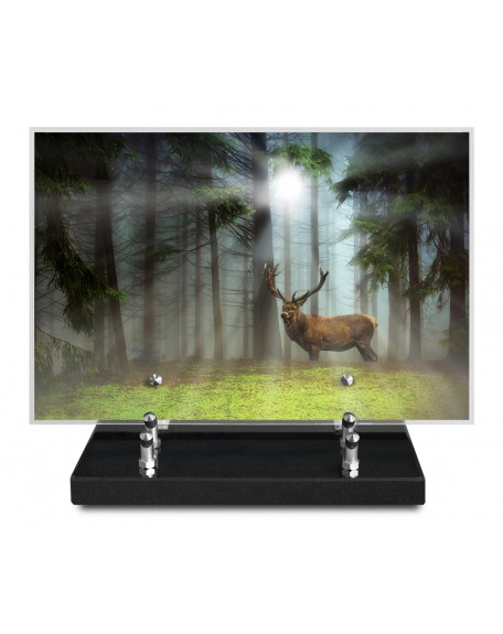 PLAQUE IMPRIMEE 20X30 CHASSE/PECHE