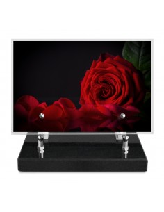 PLAQUE IMPRIMEE 15X22,5 FLEURS