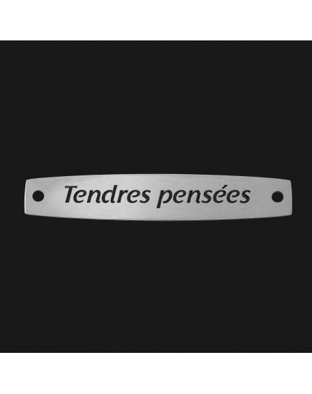 SACHET 5 INTERS INOX "TENDRES PENSEES"