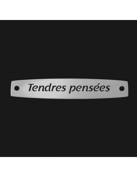 SACHET 5 INTERS INOX "TENDRES PENSEES"