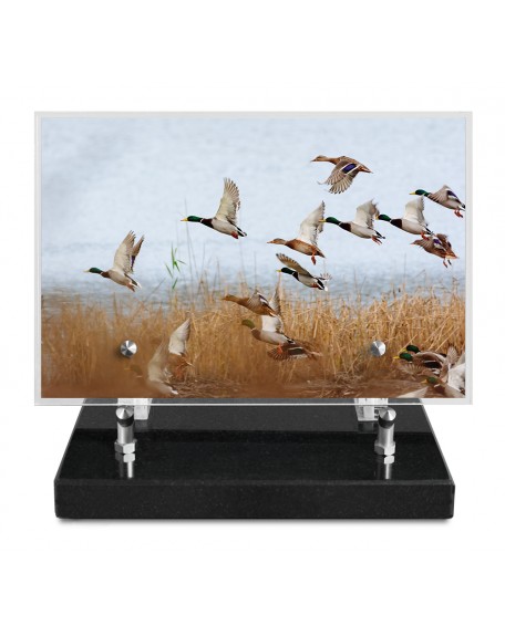 PLAQUE IMPRIMEE 15X22,5 CHASSE/PECHE