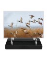 PLAQUE IMPRIMEE 15X22,5 CHASSE/PECHE