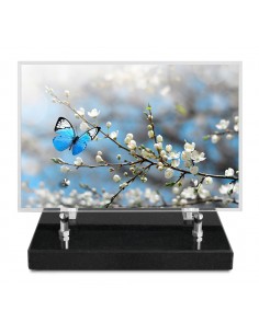 PLAQUE IMPRIMEE 15X22,5...