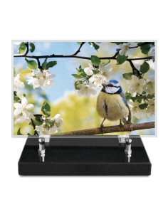 PLAQUE IMPRIMEE 15X22,5...