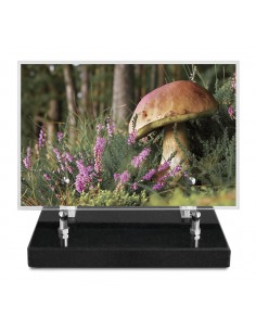 PLAQUE IMPRIMEE 15X22,5...