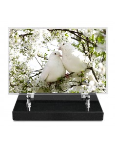 PLAQUE IMPRIMEE 15X22,5...