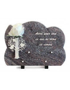 PLAQUE GRANIT NUAGE 25X35CM...