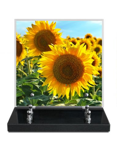 PLAQUE IMPRIMEE 21X21 FLEURS