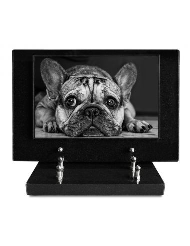 PLAQUE IMPRIMEE S/SOCLE 20X30 ANIMAUX