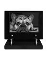 PLAQUE IMPRIMEE S/SOCLE 15X21 ANIMAUX