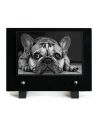 PLAQUE IMPRIMEE 15X21 ANIMAUX