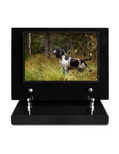 PLAQUE IMPRIMEE S/SOCLE 15X21 ANIMAUX