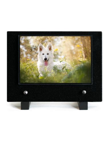 PLAQUE IMPRIMEE 15X21 ANIMAUX