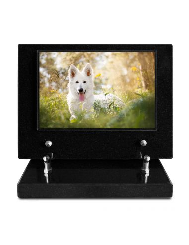 PLAQUE IMPRIMEE S/SOCLE 15X21 ANIMAUX