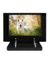 PLAQUE IMPRIMEE S/SOCLE 20X30 ANIMAUX