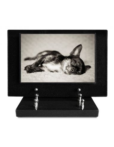 PLAQUE IMPRIMEE S/SOCLE 20X30 ANIMAUX