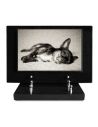 PLAQUE IMPRIMEE S/SOCLE 20X30 ANIMAUX