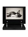 PLAQUE IMPRIMEE S/SOCLE 15X21 ANIMAUX