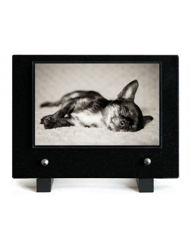 PLAQUE IMPRIMEE 15X21 ANIMAUX