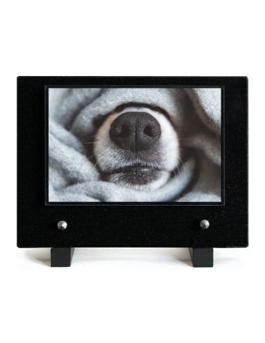 PLAQUE IMPRIMEE 15X21 ANIMAUX